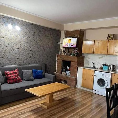Bakuriani Resort Cottage 1 Storey Εξωτερικό φωτογραφία