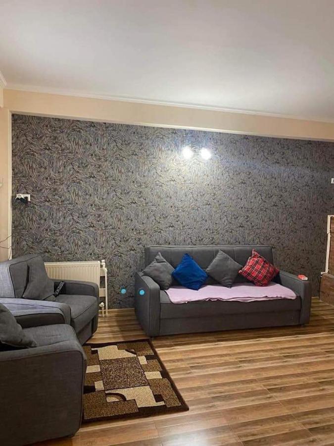 Bakuriani Resort Cottage 1 Storey Εξωτερικό φωτογραφία