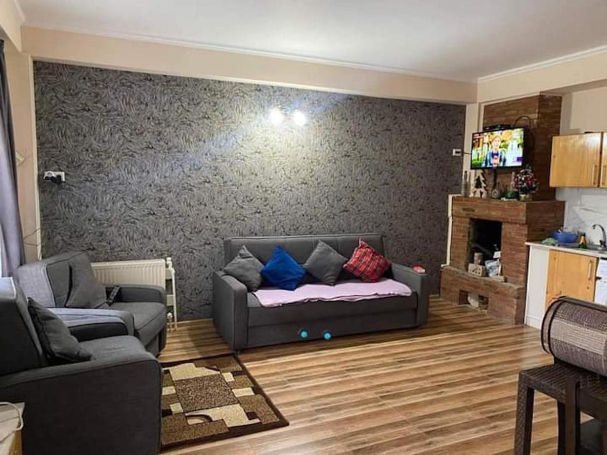 Bakuriani Resort Cottage 1 Storey Εξωτερικό φωτογραφία